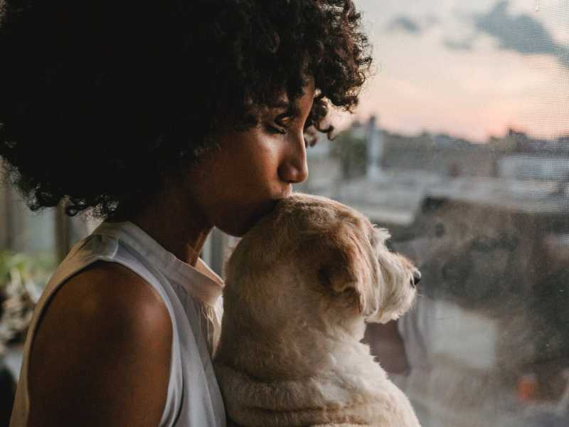 El arte de la conexión